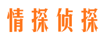 曾都市婚外情调查